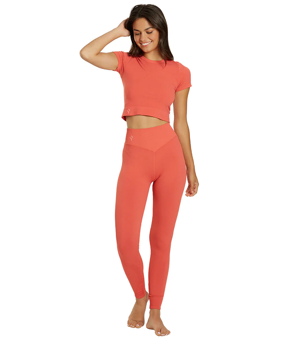 Enigmatic Orange Pant